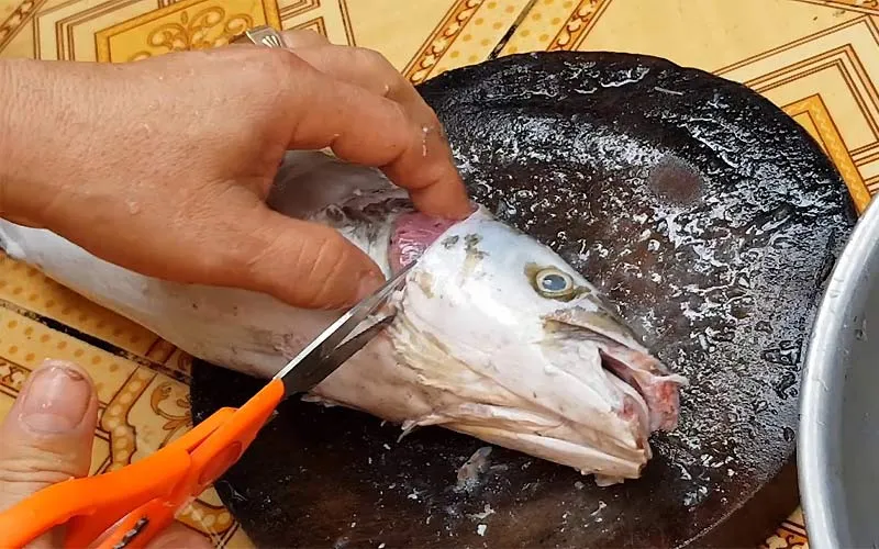 Cách Nấu Lẩu Cá Bớp Chua Cay