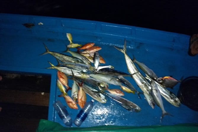 Kinh Nghiệm Câu Cá Đêm