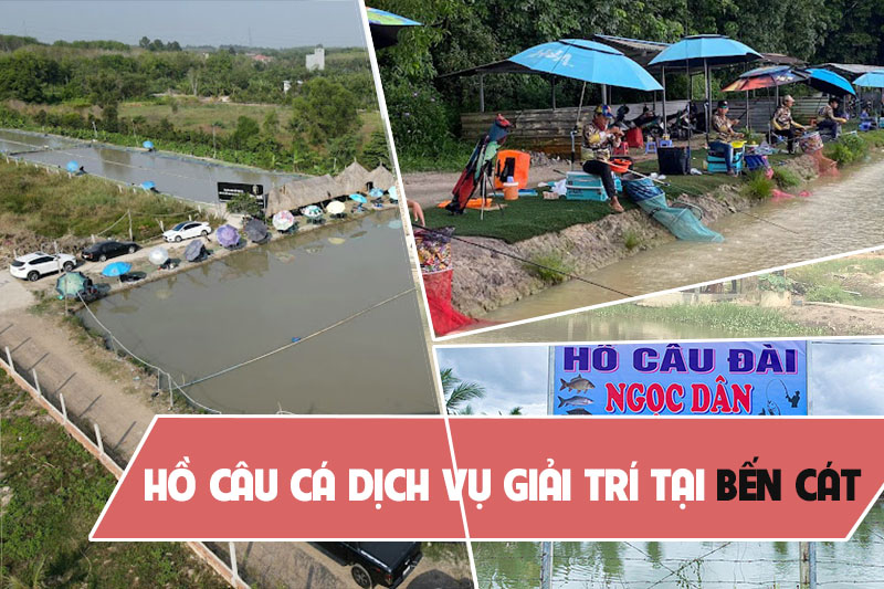 Hồ Câu Cá Trê