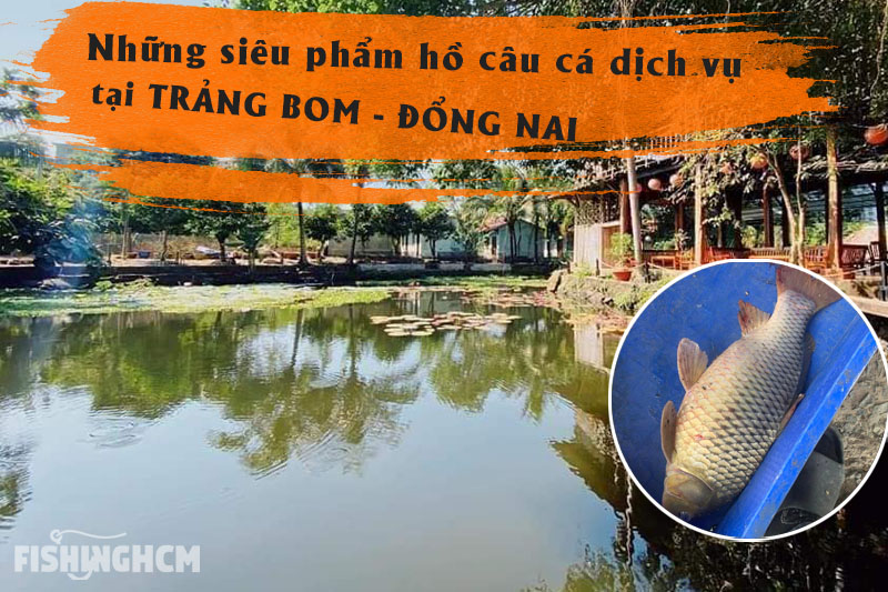Hồ Câu Cá Dịch Vụ