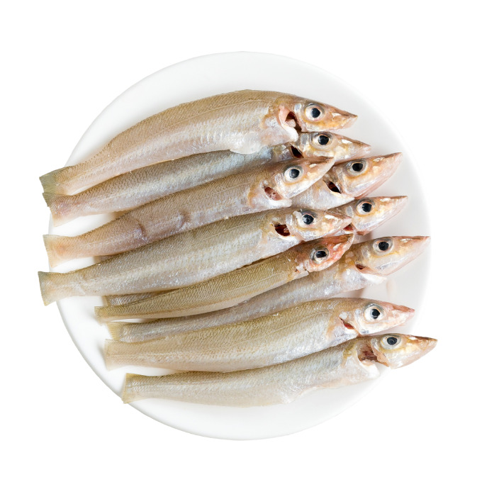 Cá Bống Bao Nhiêu Tiền 1kg