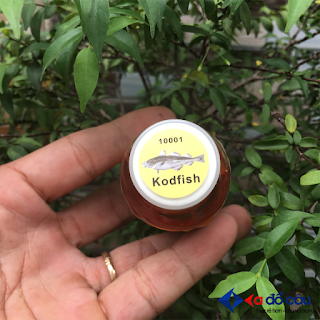 Tinh Mùi Câu Cá Chép