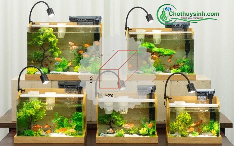 Cách Tính Số Lít Nước Trong Bể Cá