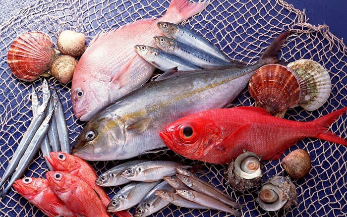 Bầu Nên Ăn Cá Gì