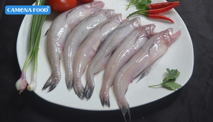 Cá Khoai Bao Nhiêu 1 Kg
