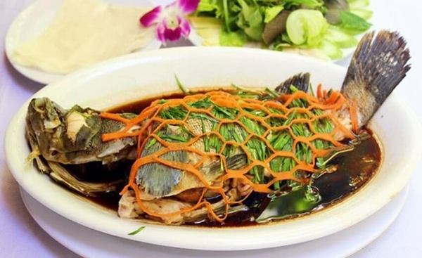 Cá Mú Có Mấy Loại