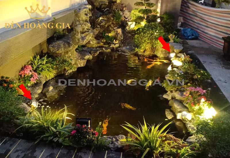 Kích Thước Hồ Cá