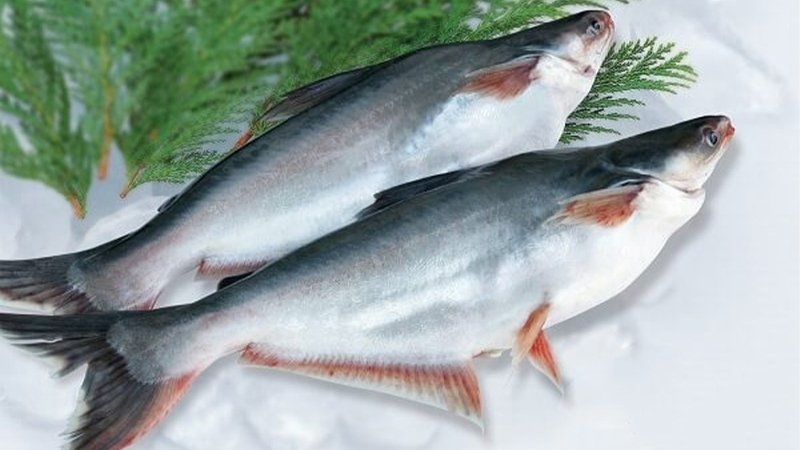 Cá Ba Sa Là Cá Nước Gì