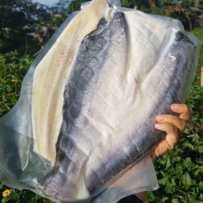 Cá Dứa 1 Nắng Vũng Tàu