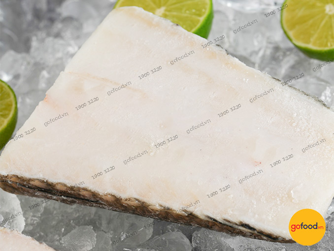 Cá Tuyết Nam Cực