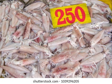 Giá Cá Mực Tươi