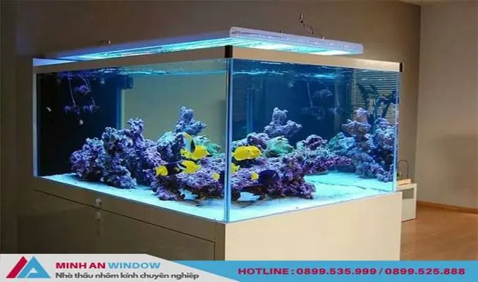 Giá Hồ Cá Kính Cường Lực