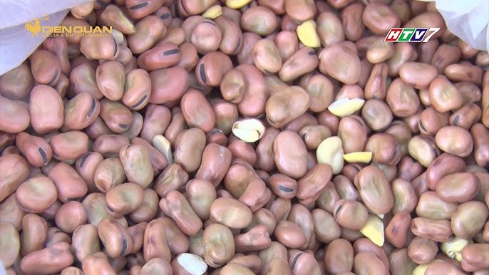 Hạt Đậu Tằm Nuôi Cá Chép Giòn