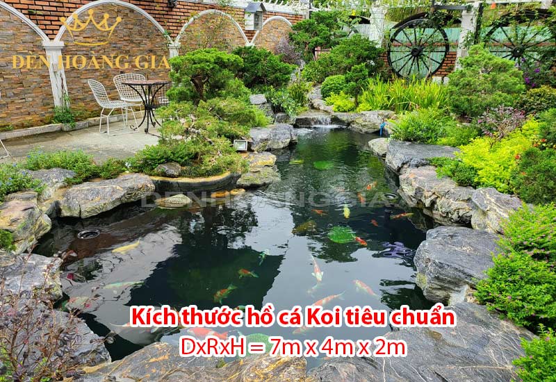 Kích Thước Hồ Cá