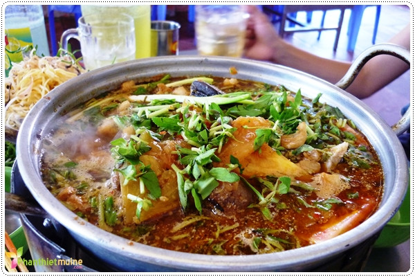 Lẩu Cá Bóp Phan Thiết