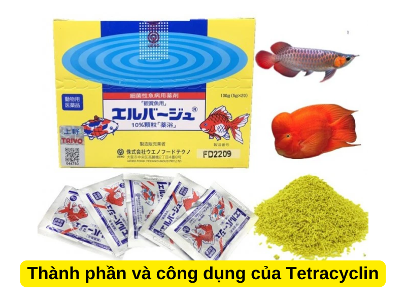 Thuốc Tetra Cho Cá