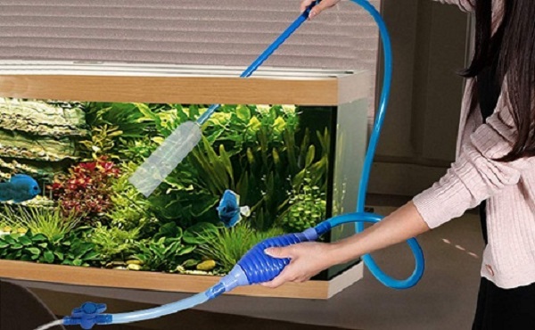 Thay Nước Bể Cá