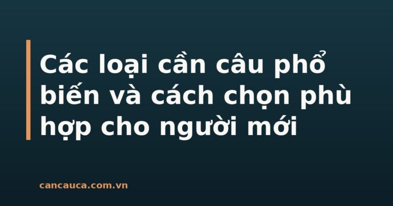 Các loại cần câu phổ biến cho người mới tập câu cá