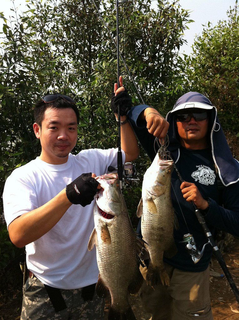 cần câu lure daiwa minh họa 1