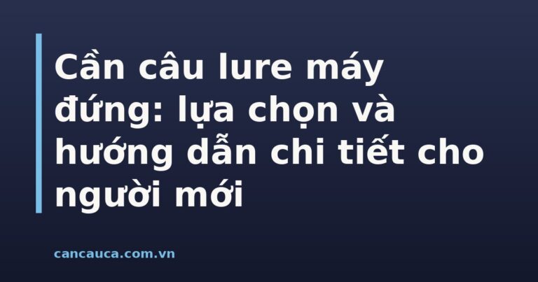 Cần câu lure máy đứng chất lượng cho người mới tập câu