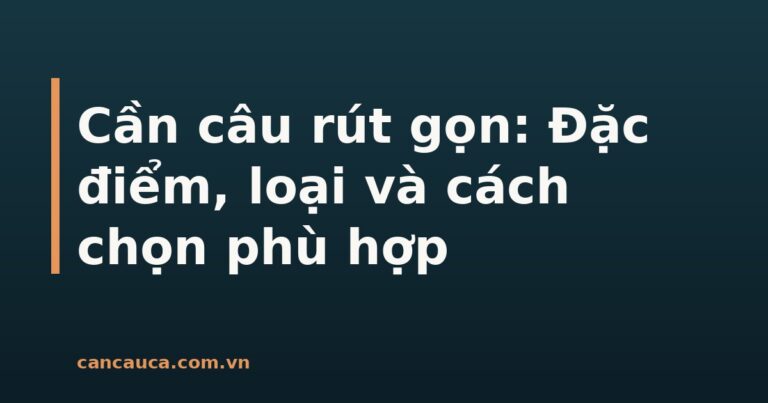 Cần câu rút gọn đa năng tiện lợi cho người câu cá