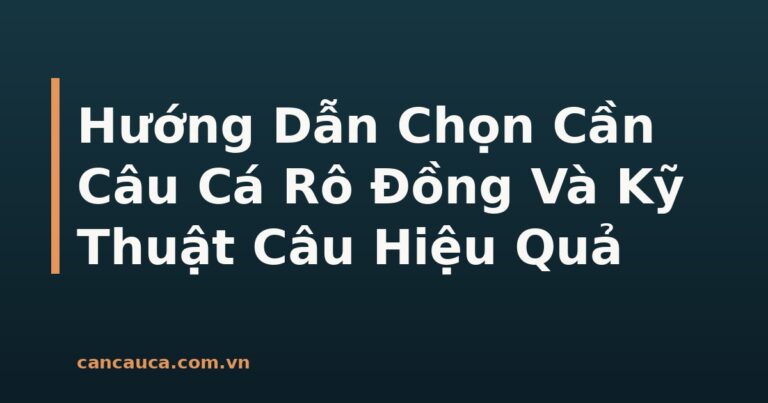 Cần câu cá rô đồng chuẩn và kỹ thuật câu hiệu quả
