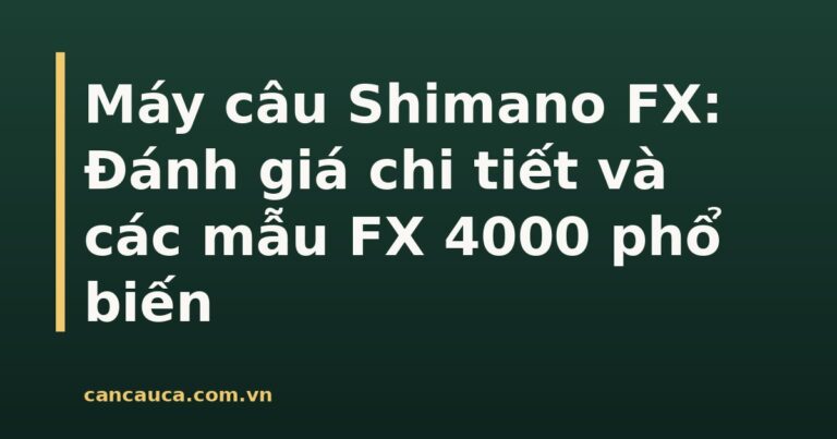 Máy câu Shimano FX với mẫu FX 4000 nổi bật