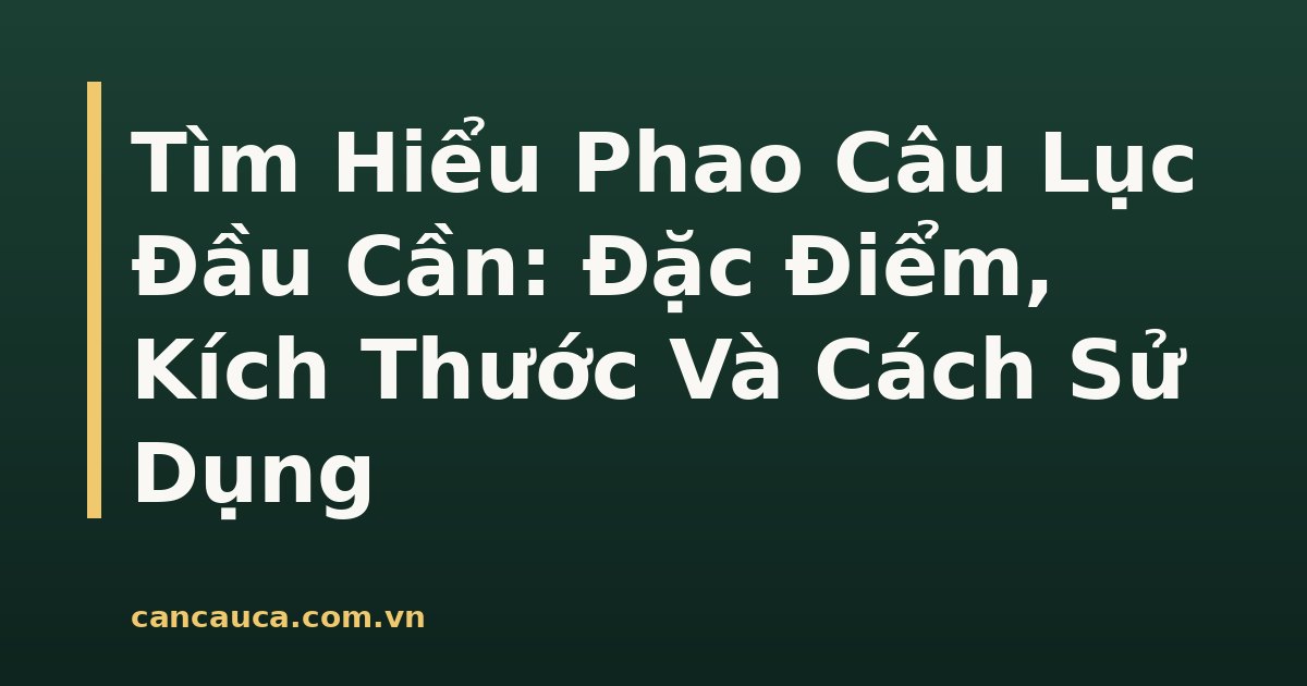 Phao câu lục đầu cần với thiết kế bầu phao thon dài và lớp sơn chống thấm nước