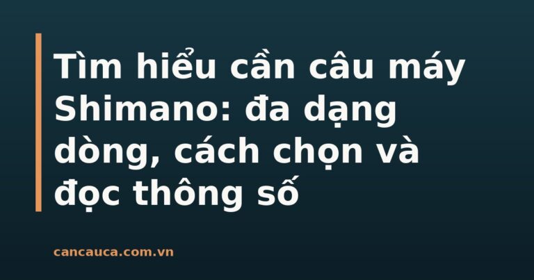 Cần câu máy Shimano đa dạng dòng và kích thước